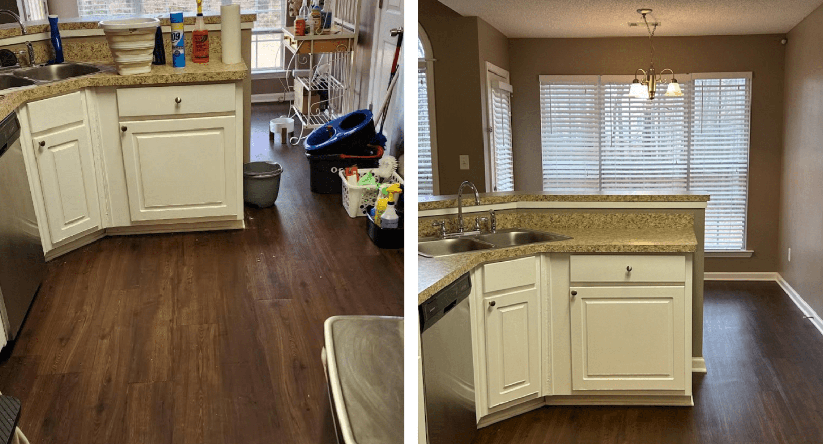 Primary Banner